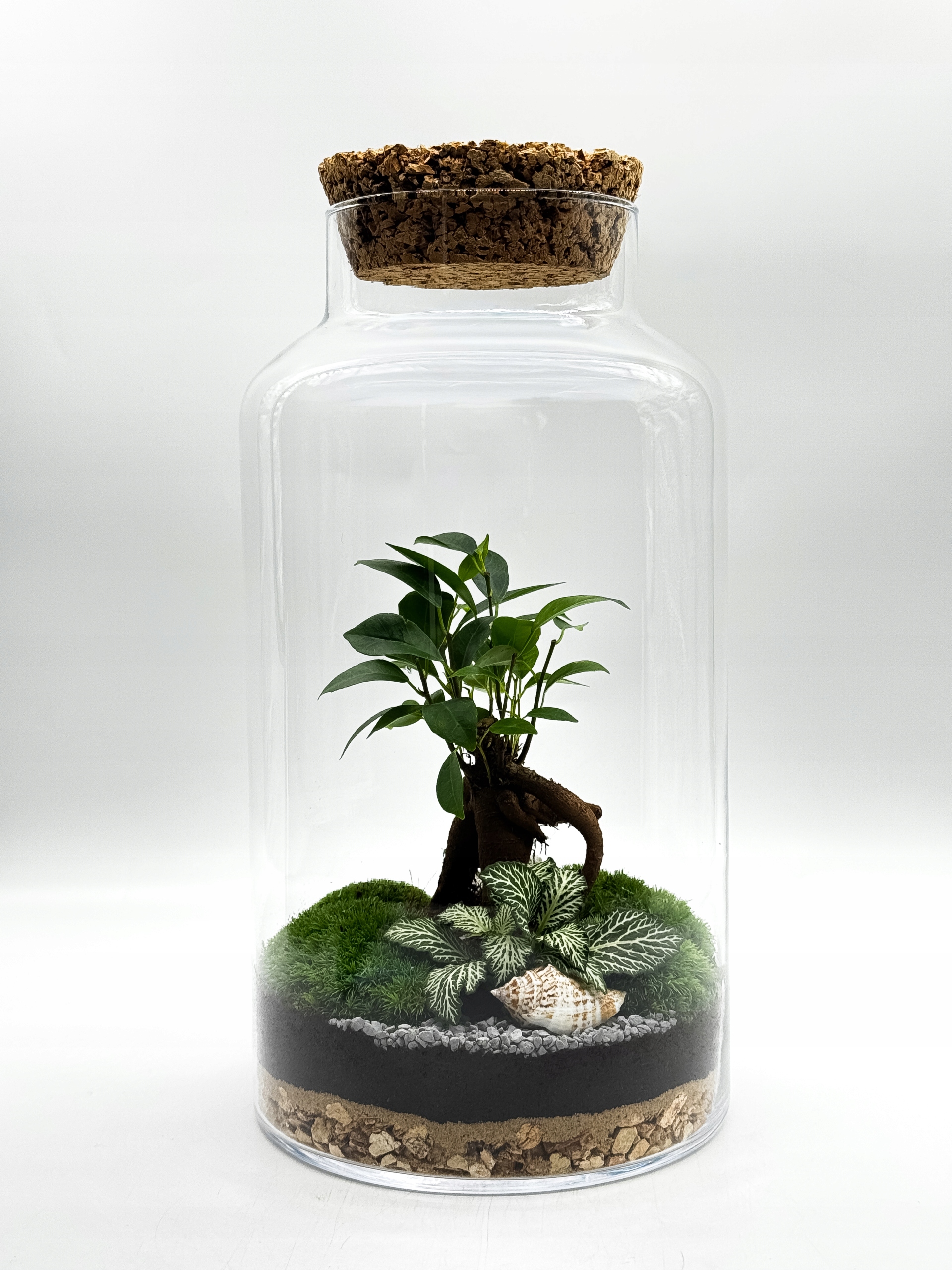 Les ve skle bonsaje – hotová kompozice – nápad na živý dárek