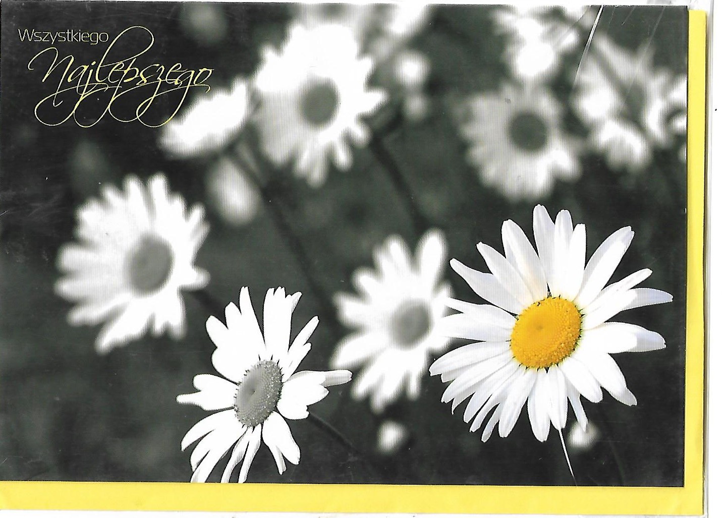 Karnet z kopertą kolory WSZYSTKIEGO NAJLEPSZEGO