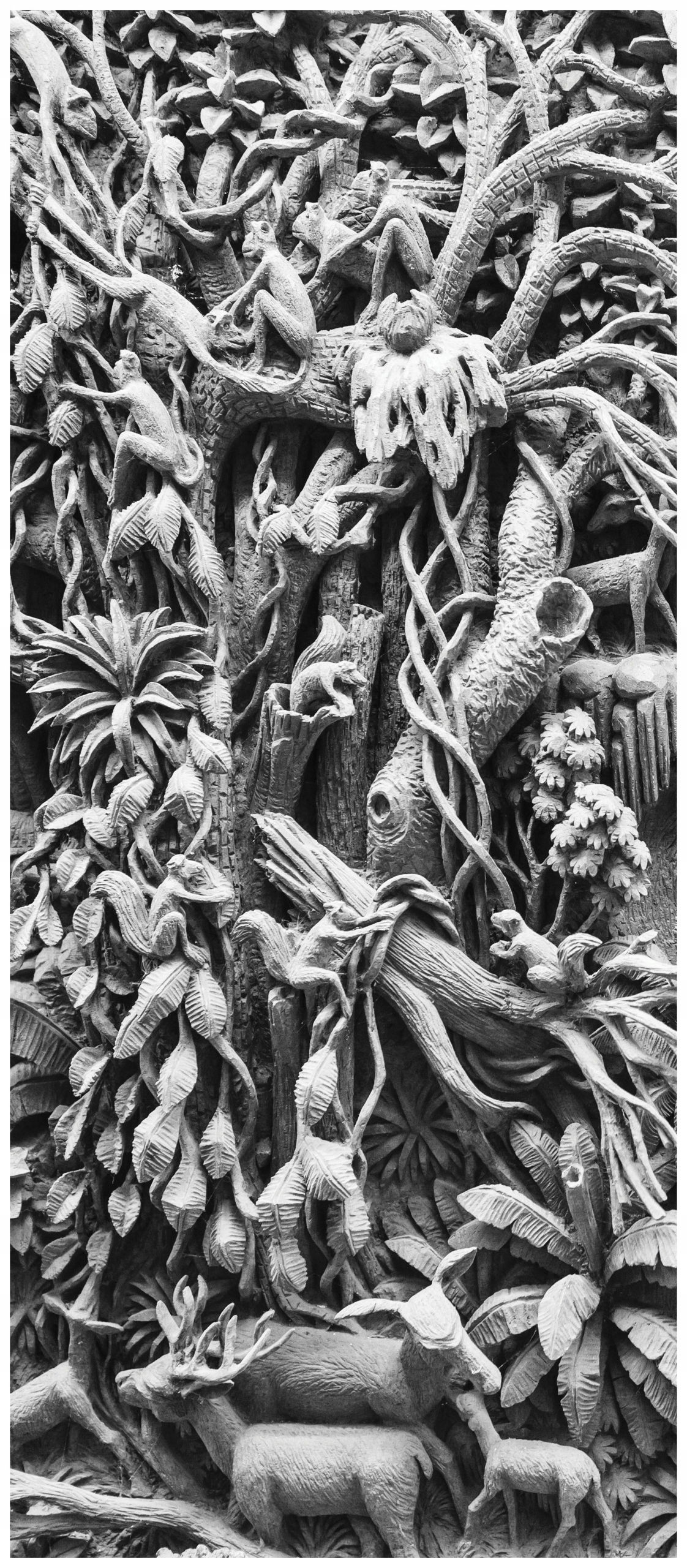 Samolepka Fototapeta Sloni Džungle Perspektiva Klid Detaily 91x211