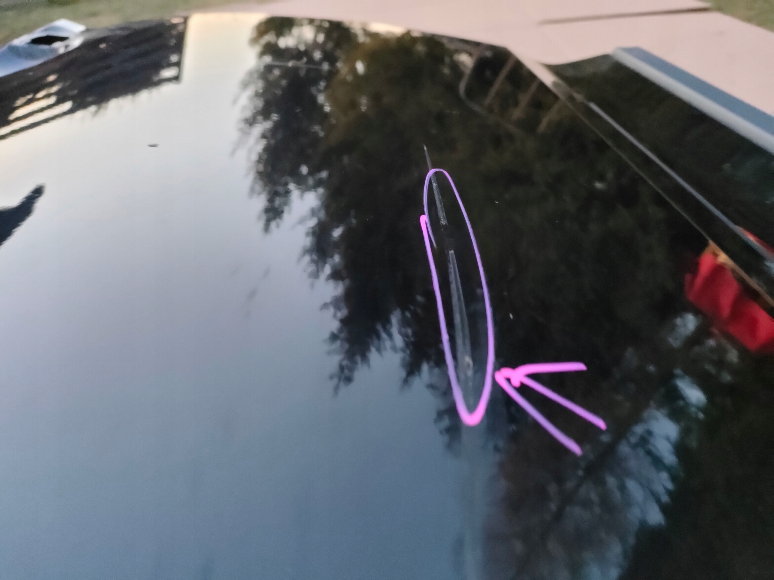 Portière Avant Avant Gauche VW PASSAT B8 3G0 2015->