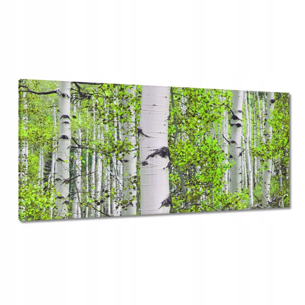 Obrazy 180x90 Jarná zeleň Brzóski