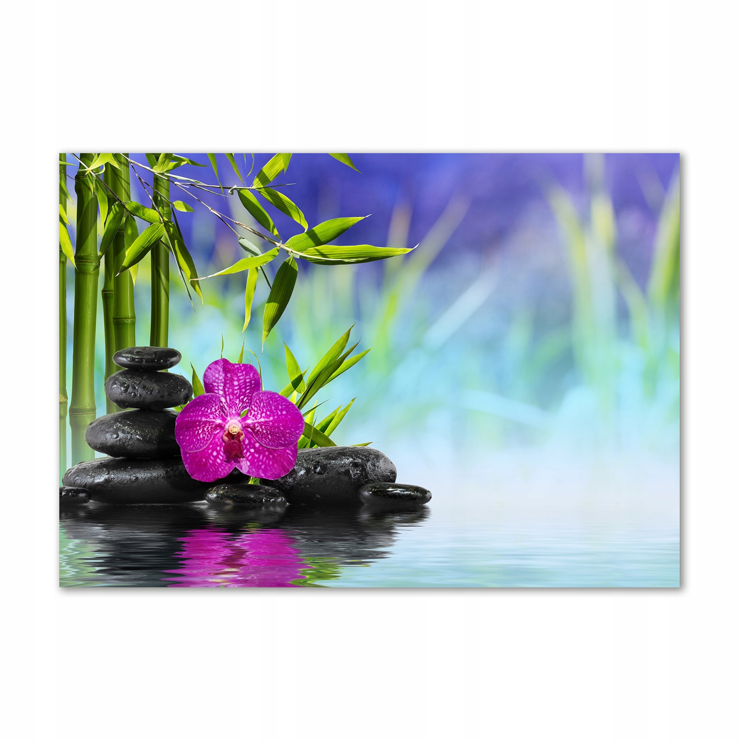 

Fotoobraz na ścianę szklany Orchidea bambus 100x70