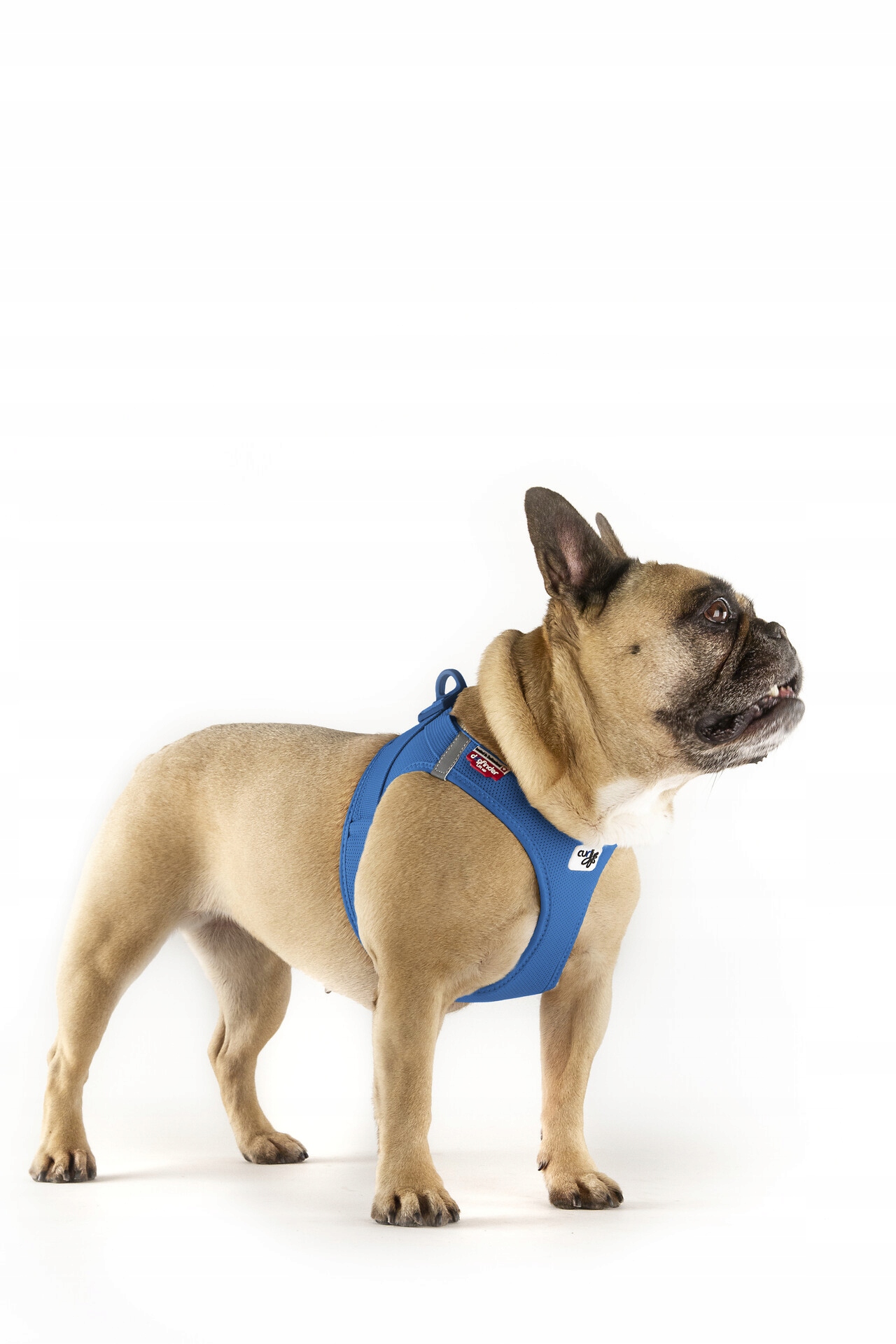 Levně Postroj pro psy a kočky Curli Claps Air-Mesh modrý Xs