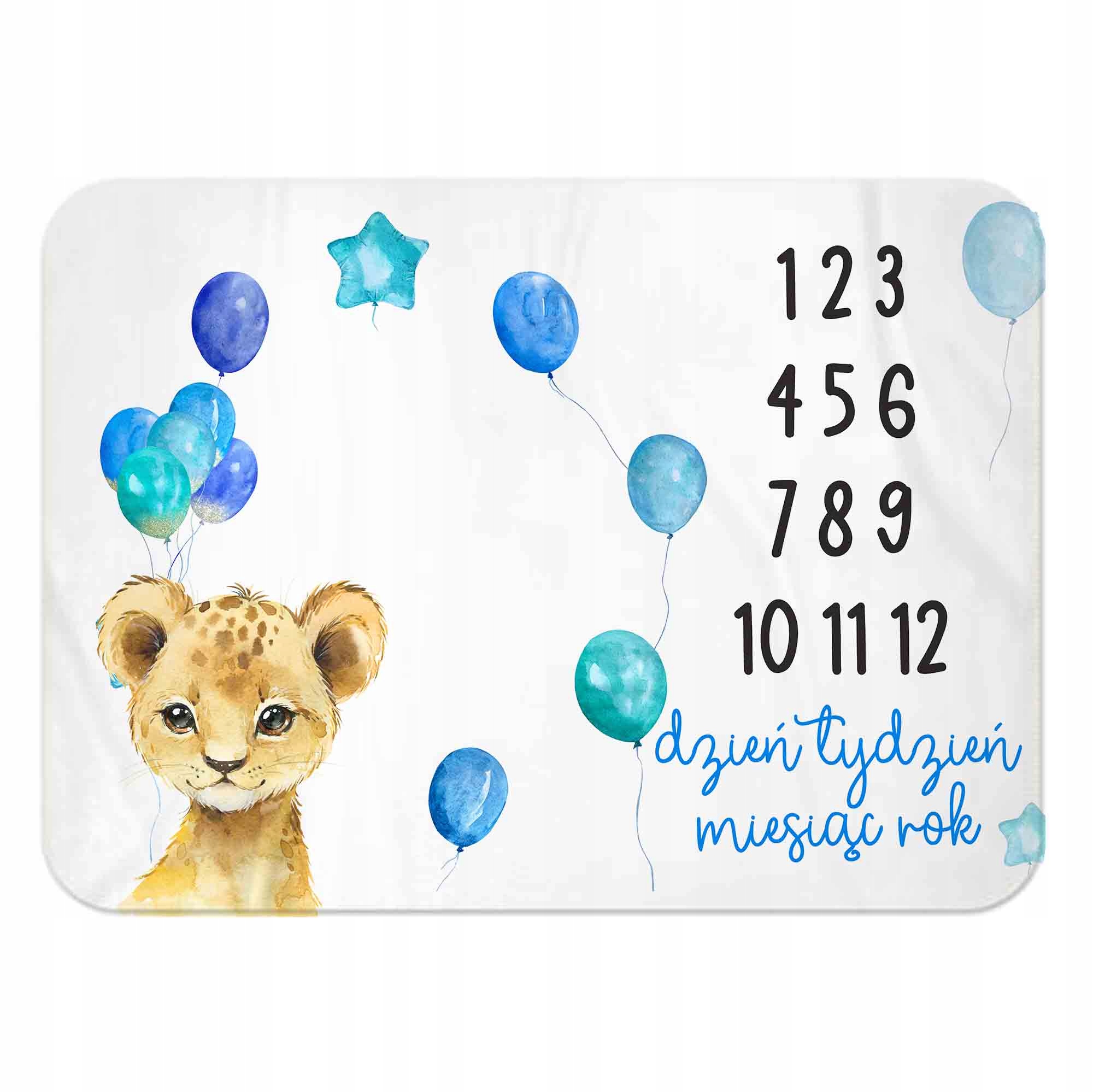 FOTOKOCYK do zdjęć , MATA PREMIUM, gratis karty