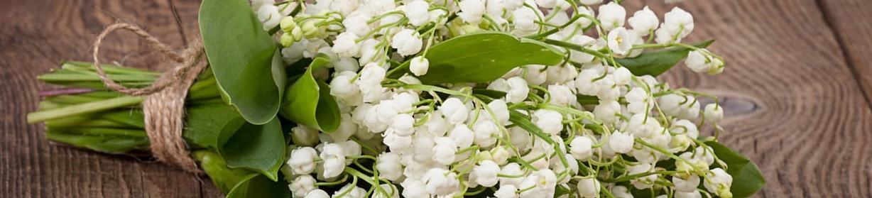 WOODS OF WINDSOR Zestaw kosmetyków KONWALIA Prezent Upominek EAN (GTIN) 5903018721880