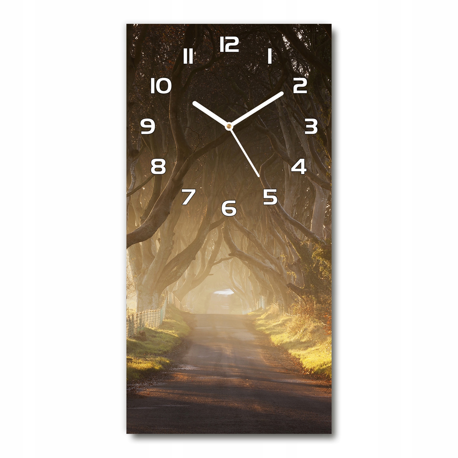 

Zegar ścienny cichy Ścieżka w lesie 30x60 pionowy
