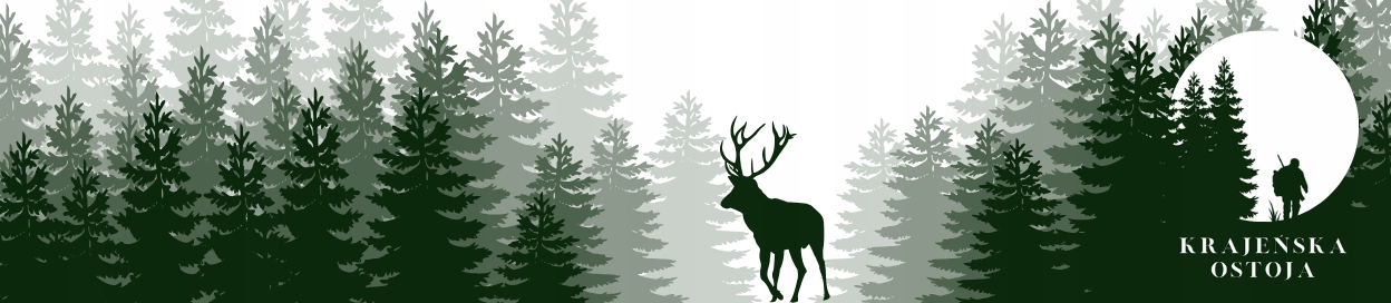 Latarka taktyczna Fenix TK16 V2.0 zielona Marka Fenix