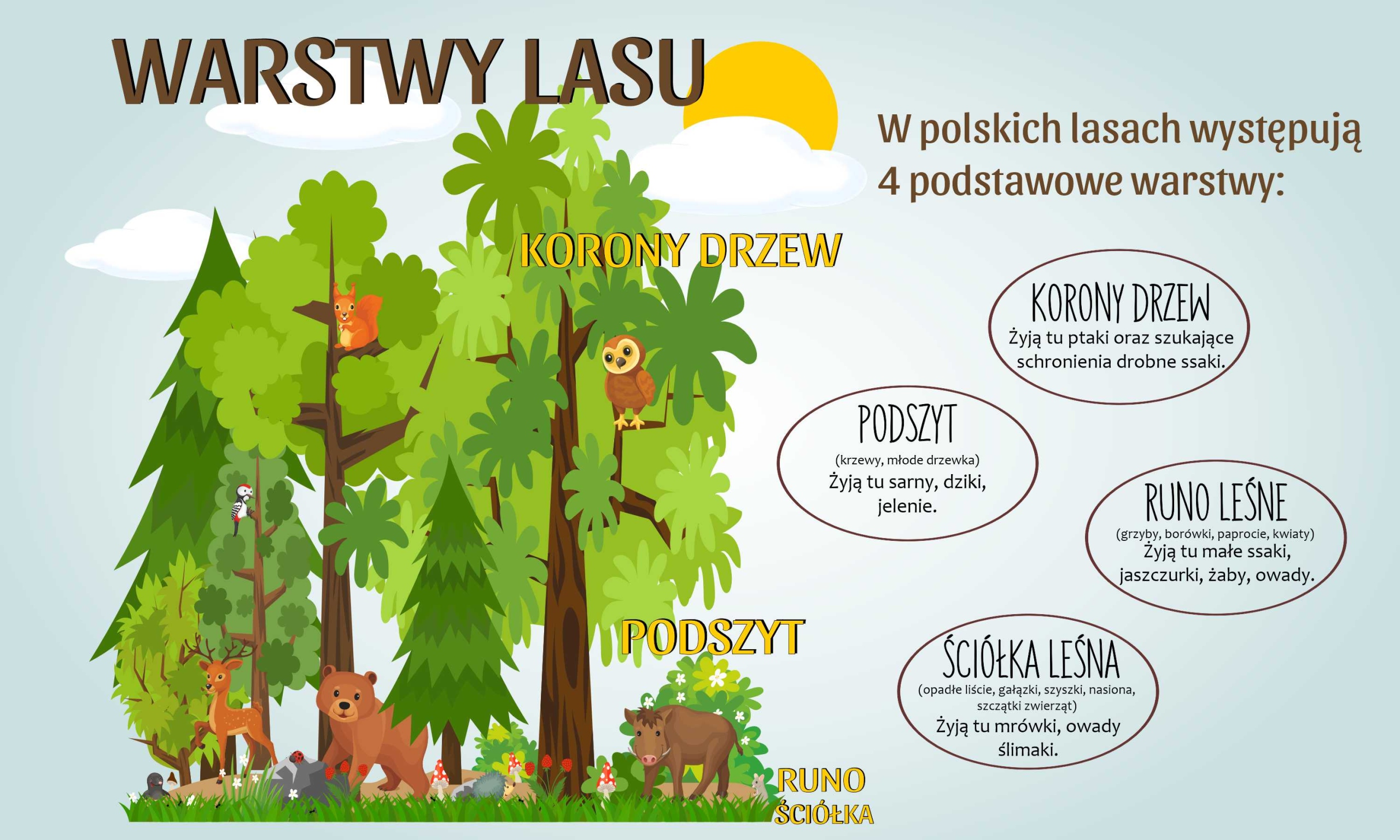 Maskovačka na radiátor Vzdělávací ozdoba na radiátor Vrstvy lesa 60x100 cm