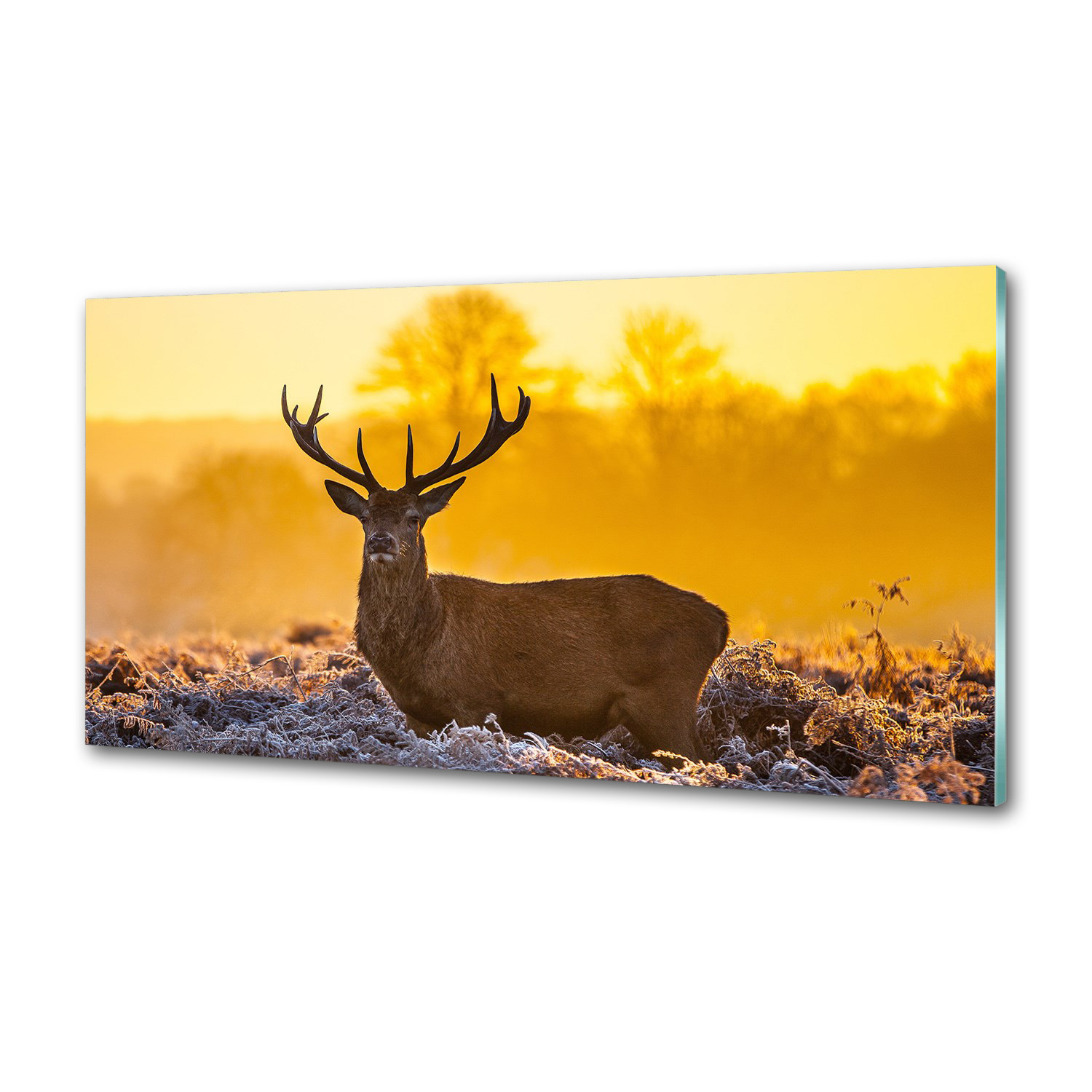 Panel lacobel Jeleň východ slnka 120x60 cm Lepidlo