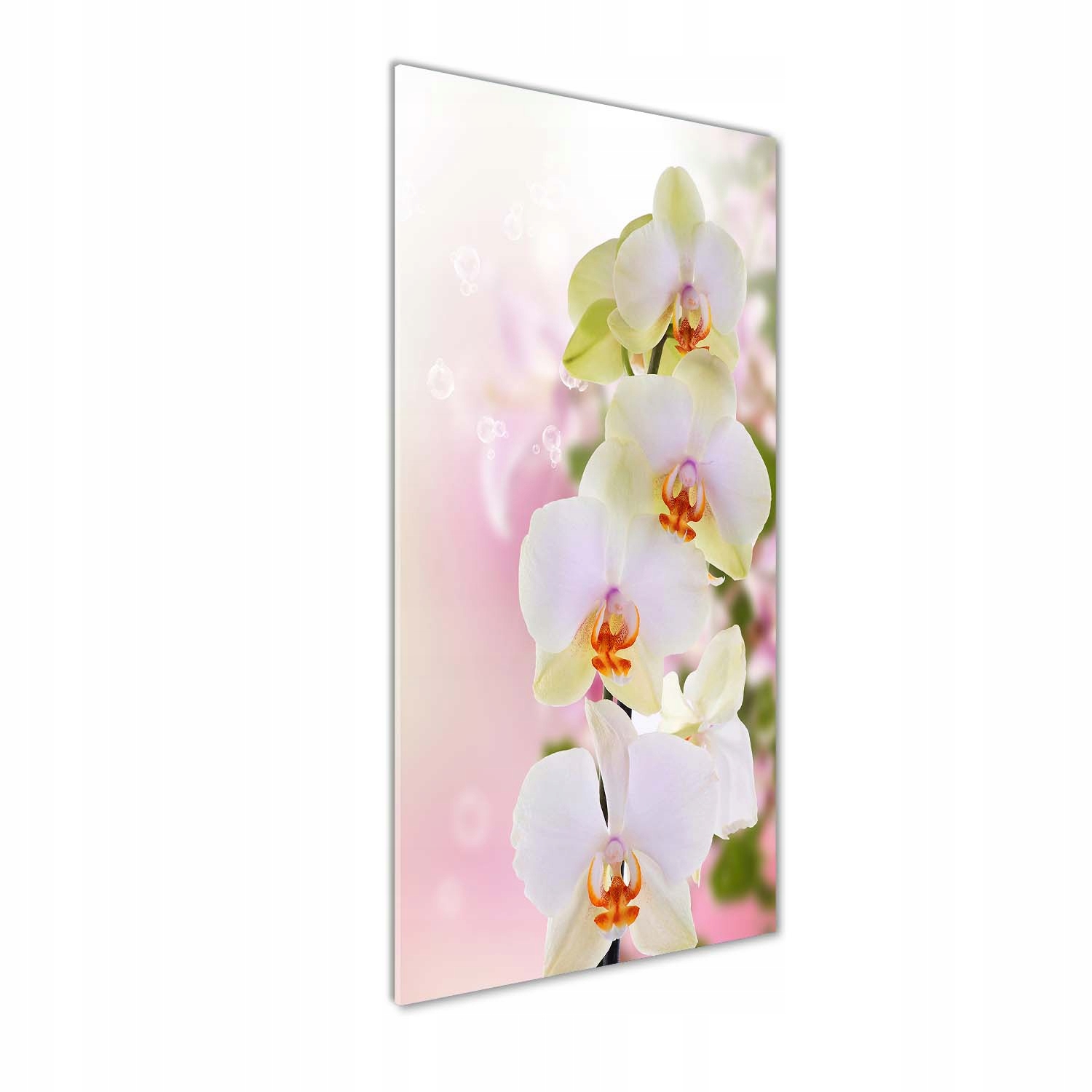 

Foto obraz akryl do salonu Biała orchidea 50x125cm