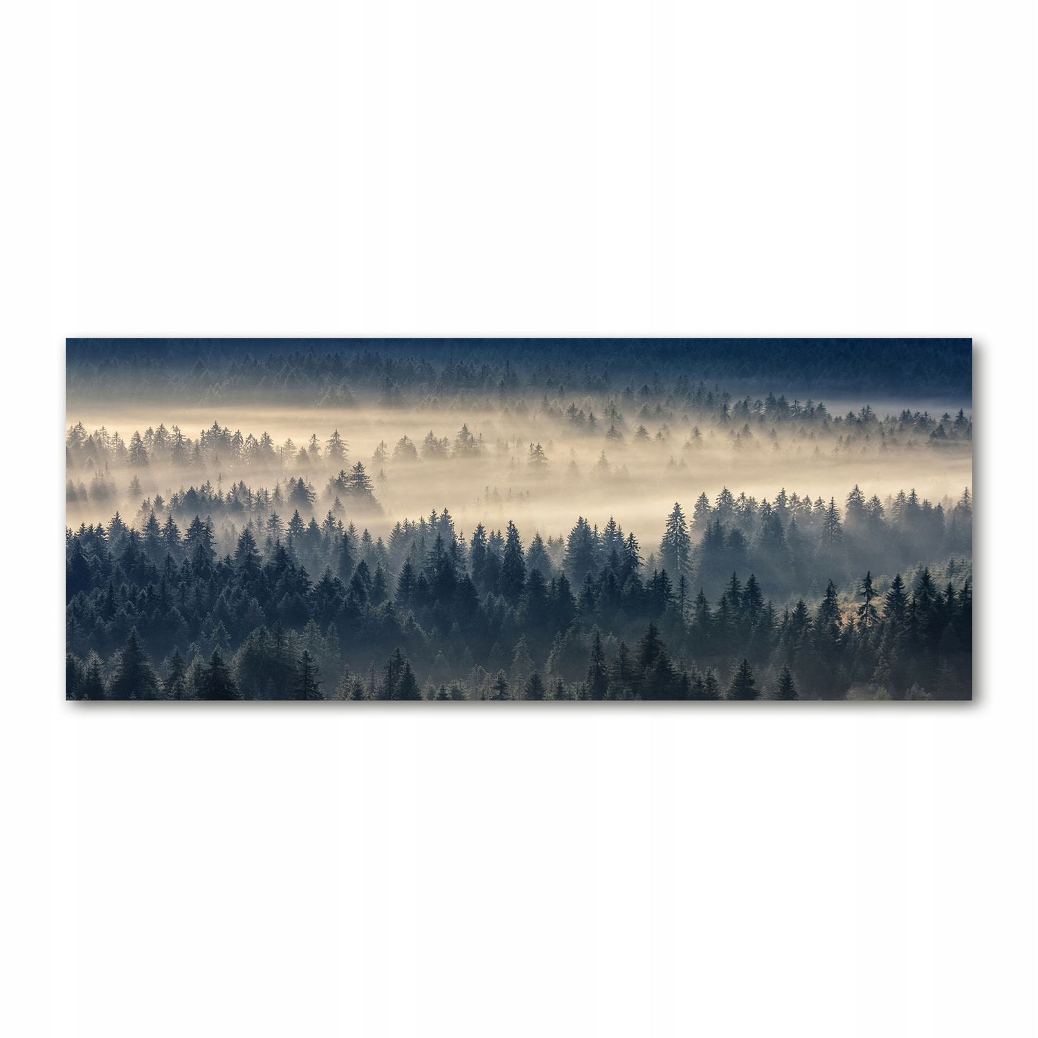 

Foto obraz akryl zdjęcie Mgła nad lasem 125x50 cm
