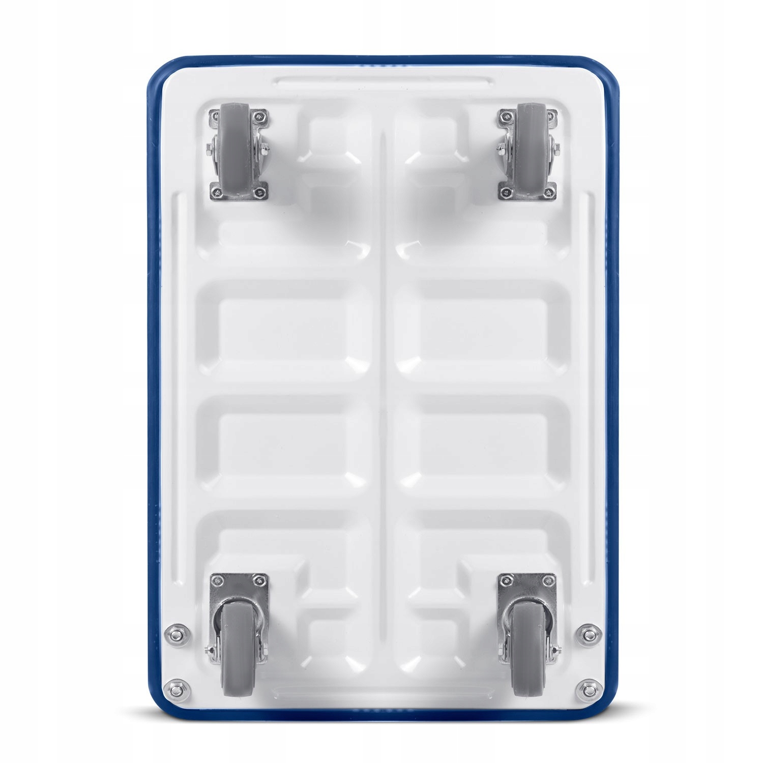 Wózek transportowy ręczny HM-506 biało-niebieski Rodzaj wózka platformowy