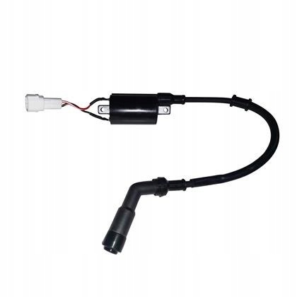 T38011 - КОТУШКА ЗАПАЛЮВАННЯ ZONTES ZT 310-R