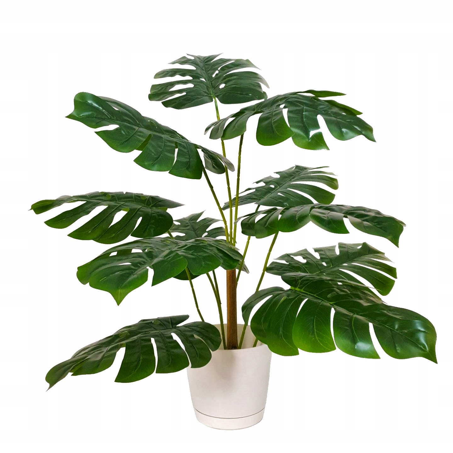

Monstera Sztuczna Roślina Liście Monstery 80 cm