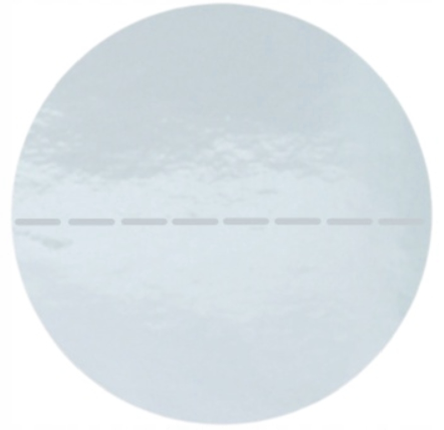 

Bezbarwne Plomby Kółka Etykiety Stickery 30MM Perf