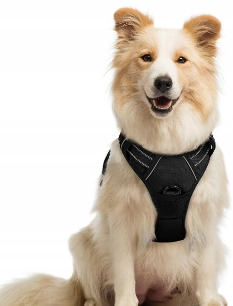 Postroj Pro Psa Bez Tahání Velikost L Rabbitgoo Reflexní Černý