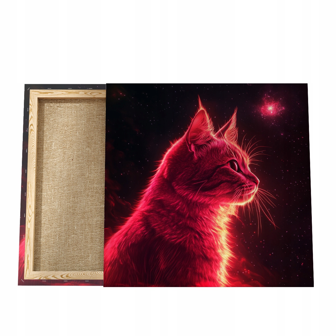 Obraz s kočkou, Obraz na plátně s kočkou, Portrét kočky