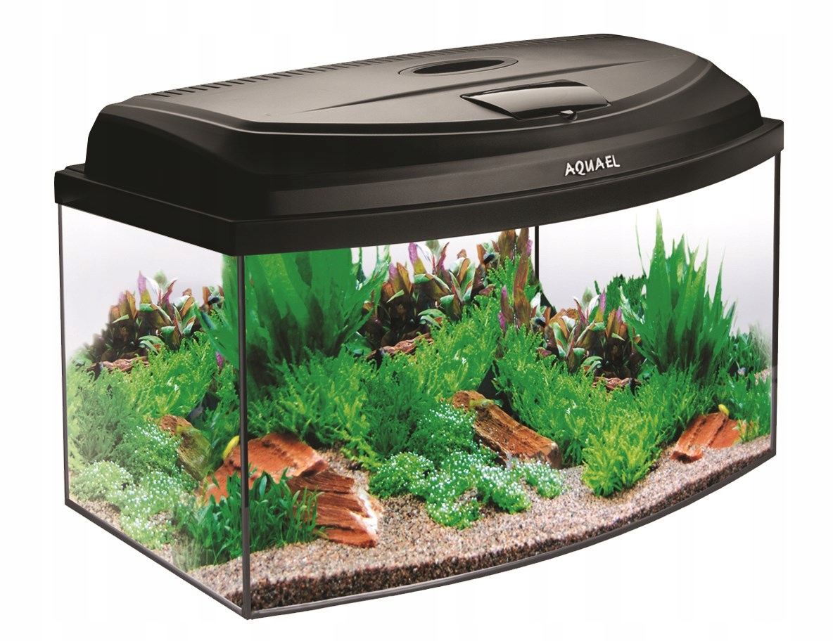 Zestaw Classic Box 60/O D&n