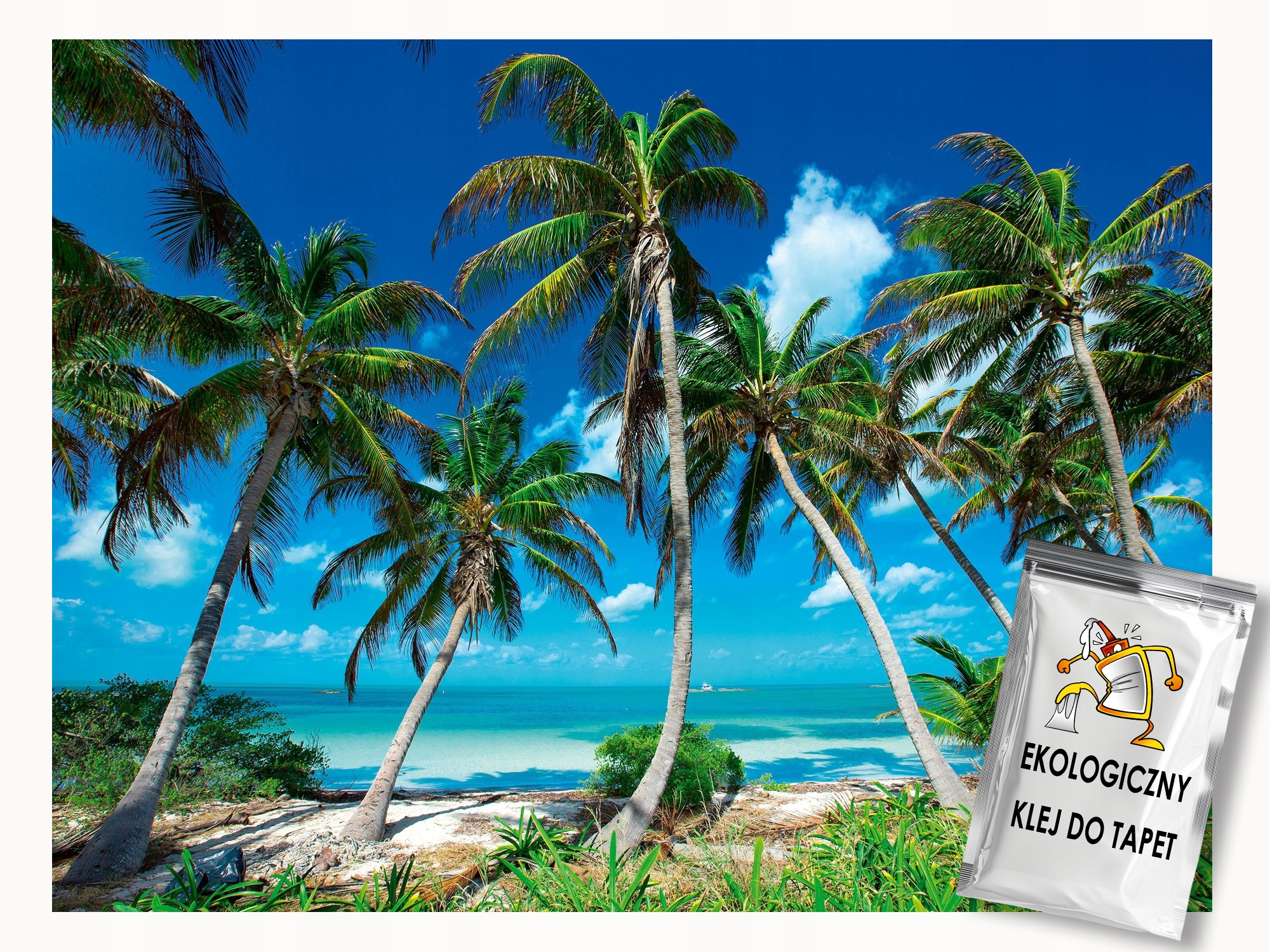 Fototapeta Flizelina Krajina Exotická Pláž Palmy Oceán Pohled 250x175 lepidlo