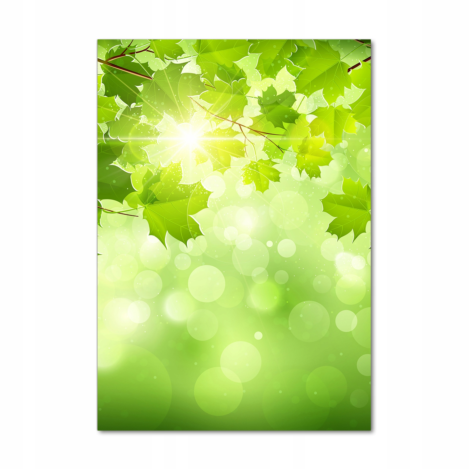

Foto obraz akryl do salonu Zielone liście 70x100cm