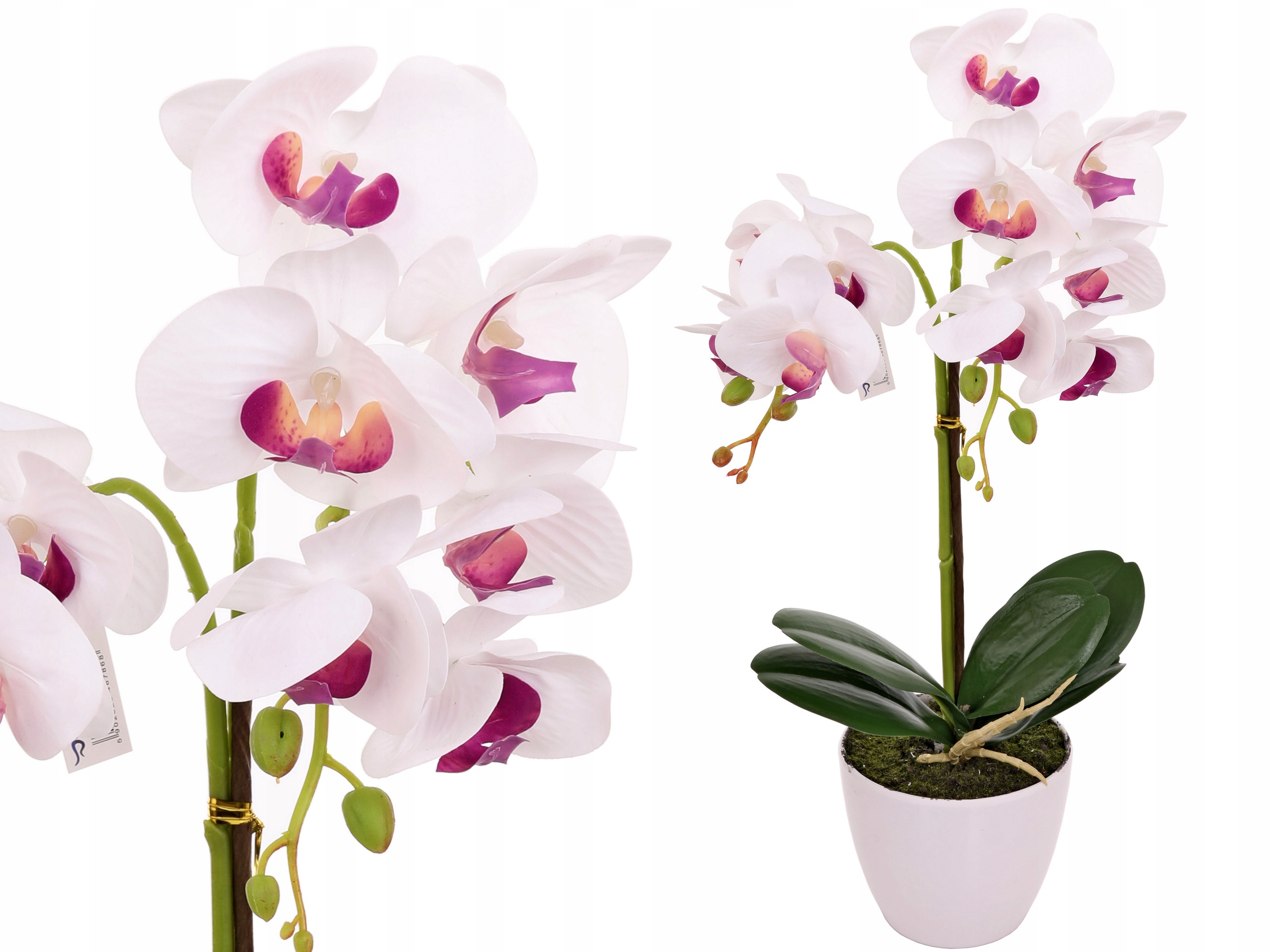 

Storczyk W Doniczce Jak Żywy Sztuczny Kwiat 2 pędy