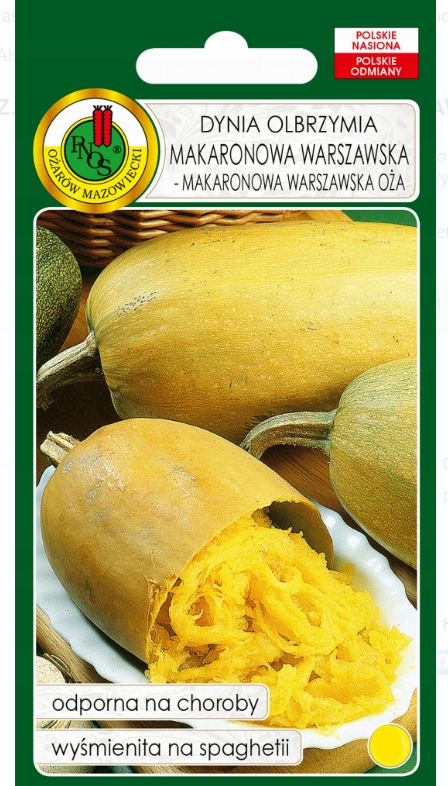 NASIONA DYNI DYNIA MAKARONOWA WARSZAWSKA 2G PNOS