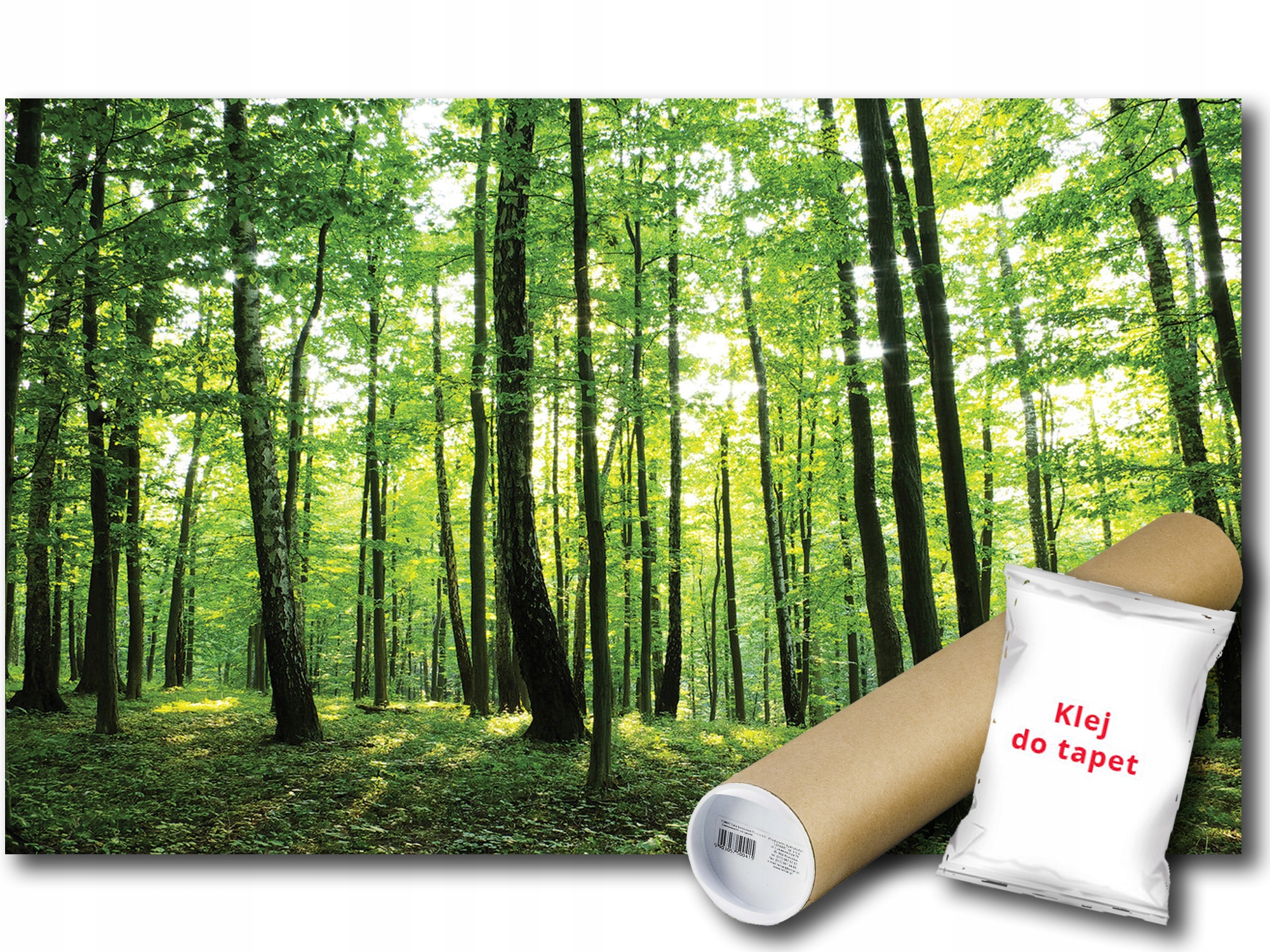 Vinylová Fototapeta Les Stromy Zelená Príroda Výhľad 416x254