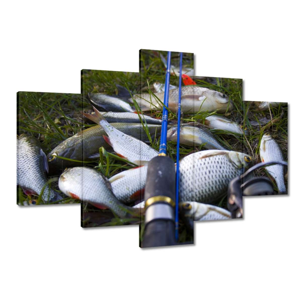 Obrazy 150x105 Malé rybičky na trávě