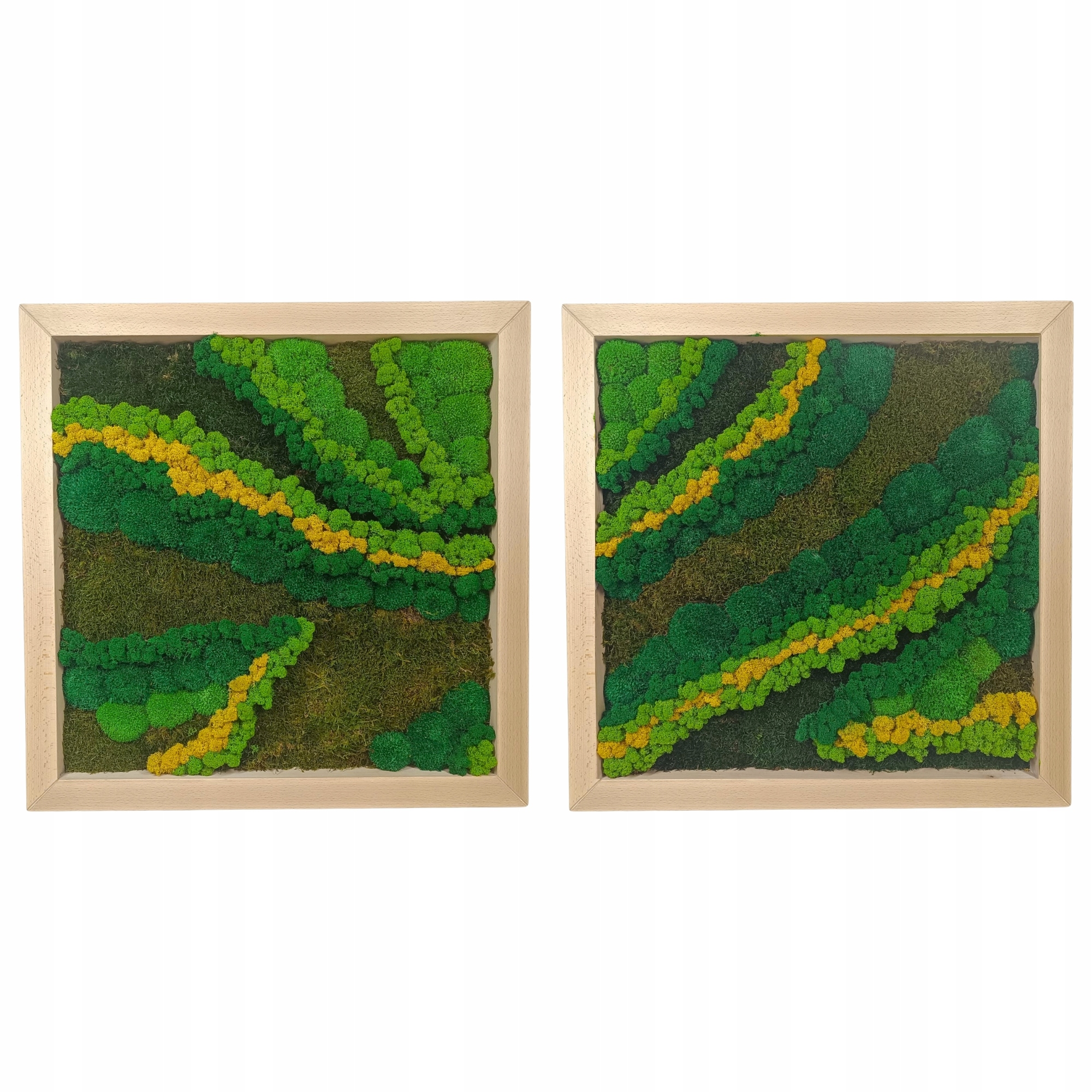 Obraz Z Mchu v dubovom drevenom ráme 50x50 Diptyk komplet 2 kusy machu