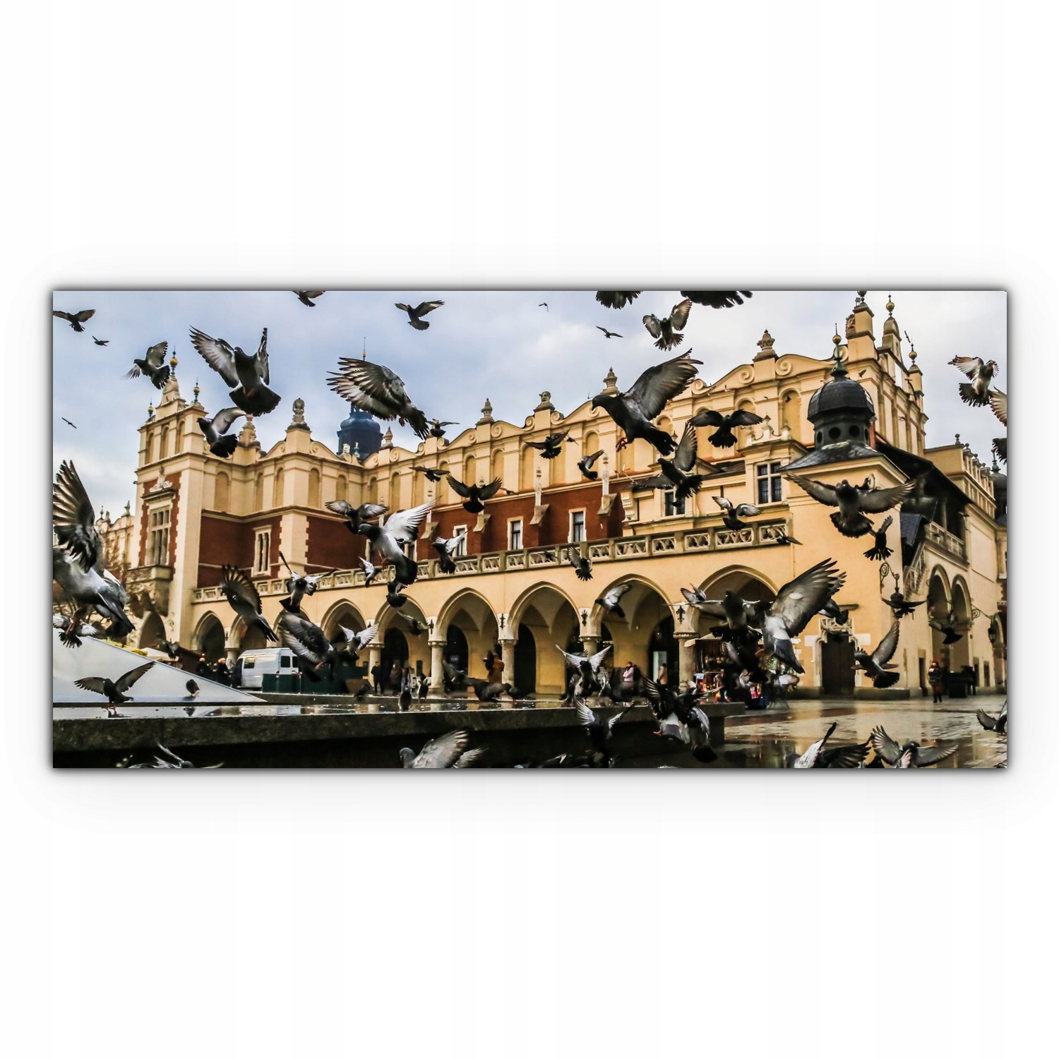

Obraz Canvas dekoracja 140x70 Gołębie Kraków Rynek