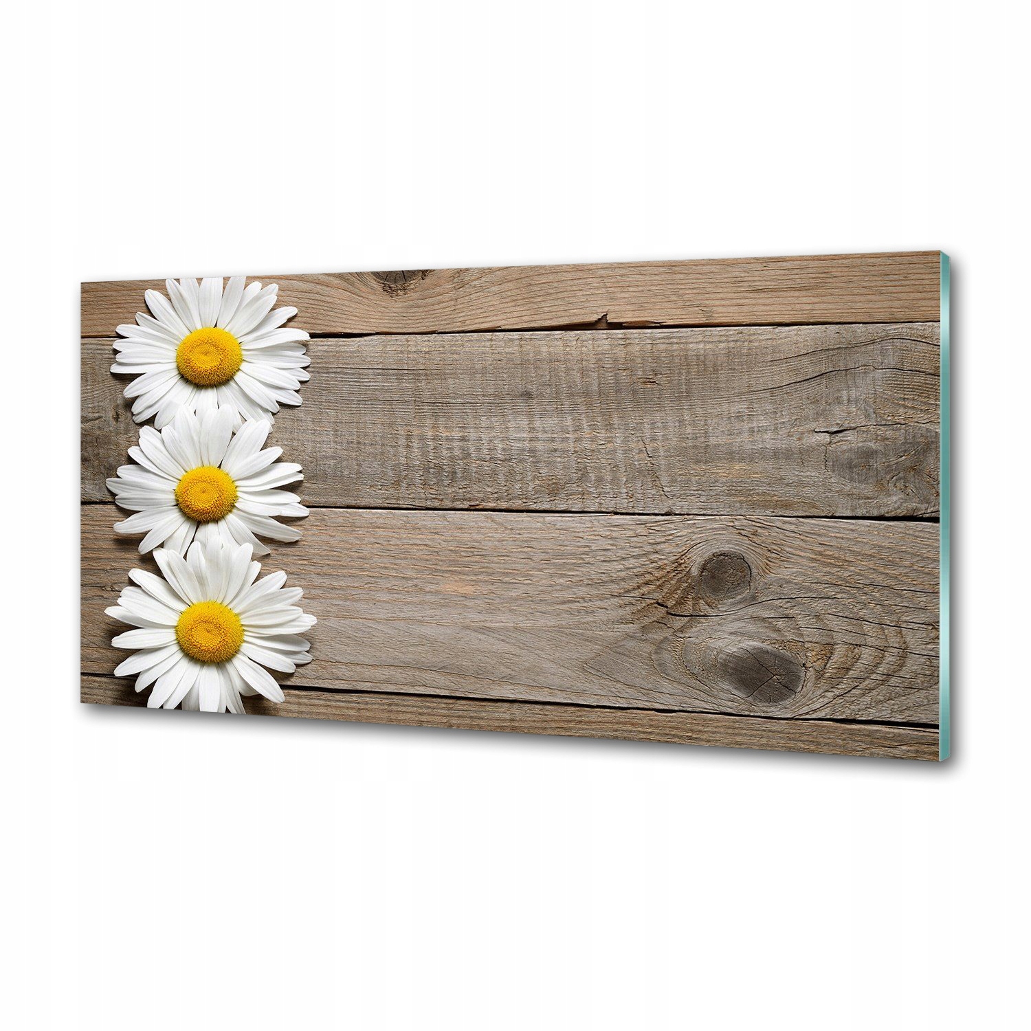 Panel do kuchyne Stokrotky drevo 100x50 cm Lepidlo