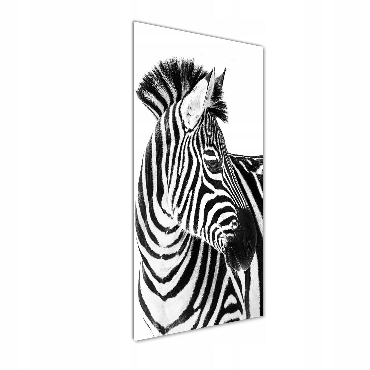 

Foto obraz zdjęcie na szkle Zebra w śniegu 50x125
