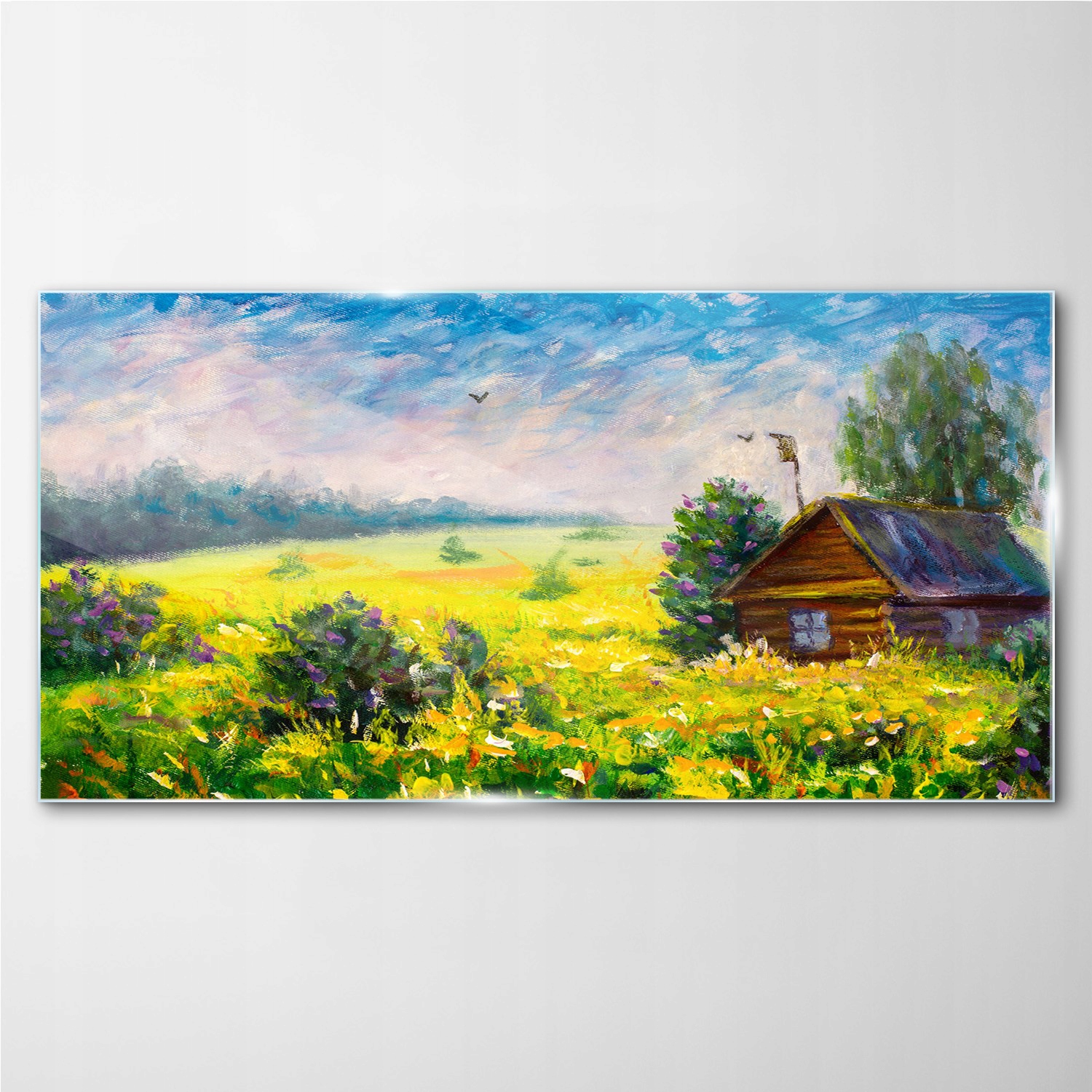 

Foto-obraz szklany Niebo kwiaty krajobraz 100x50