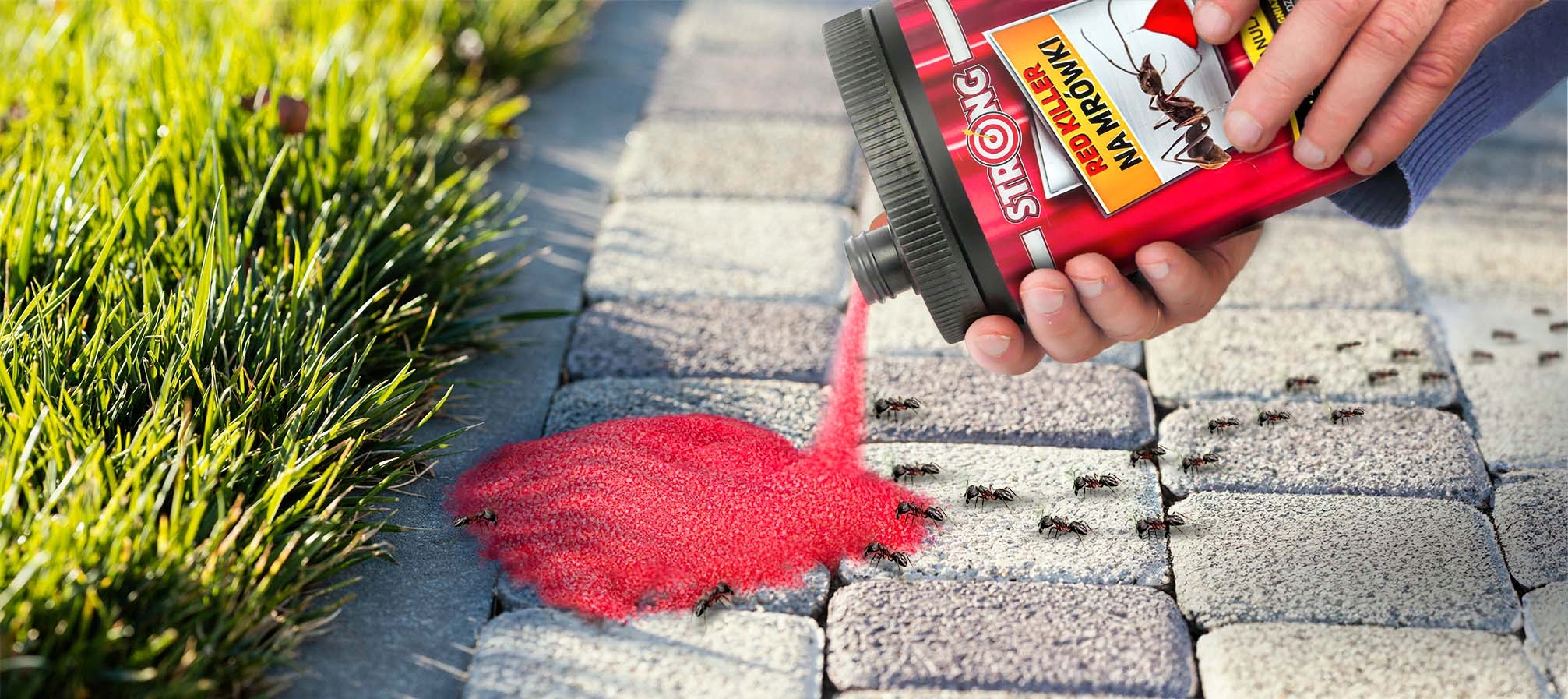 ŚRODEK PROSZEK PREPARAT TRUTKA NA MRÓWKI NA MROWISKA RED KILLER STRONG 1KG Rodzaj proszek