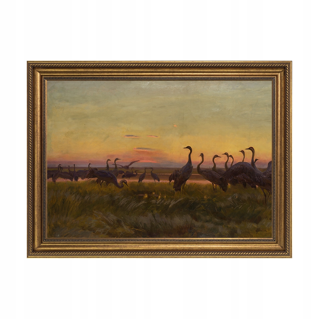 

Żurawie Powitanie słońca obraz 50x70 Chełmoński