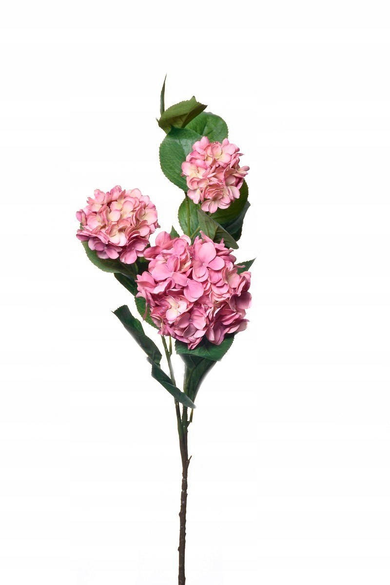 

Pan Kwiatek- Hortensja Sztuczna Kwiaty 120cm