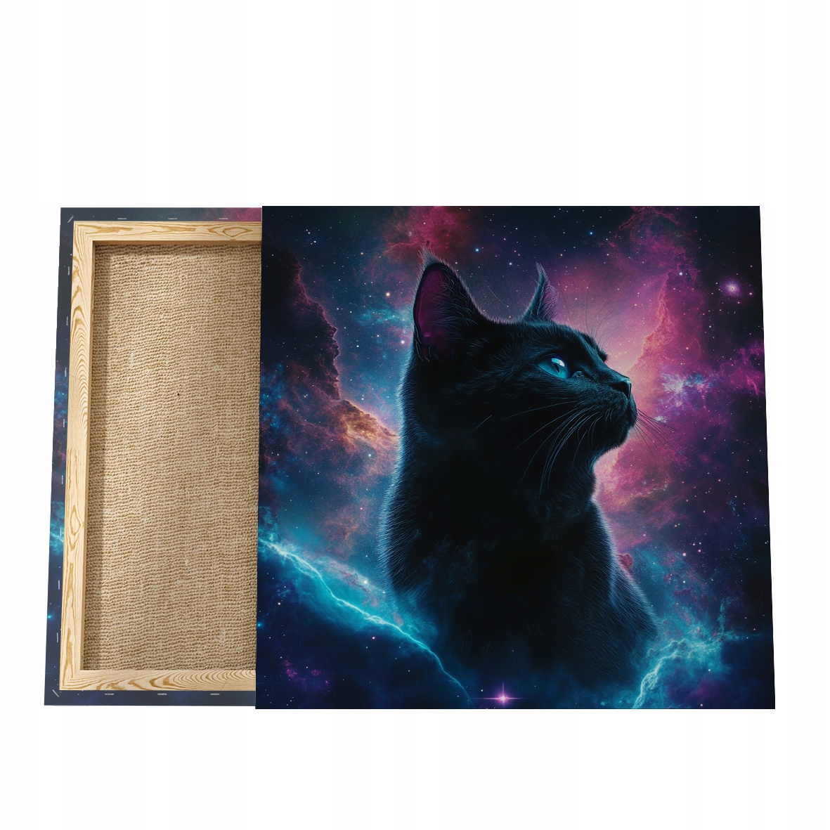 Obraz Kočka, Obraz na plátně s kočkou, Portrét kočky