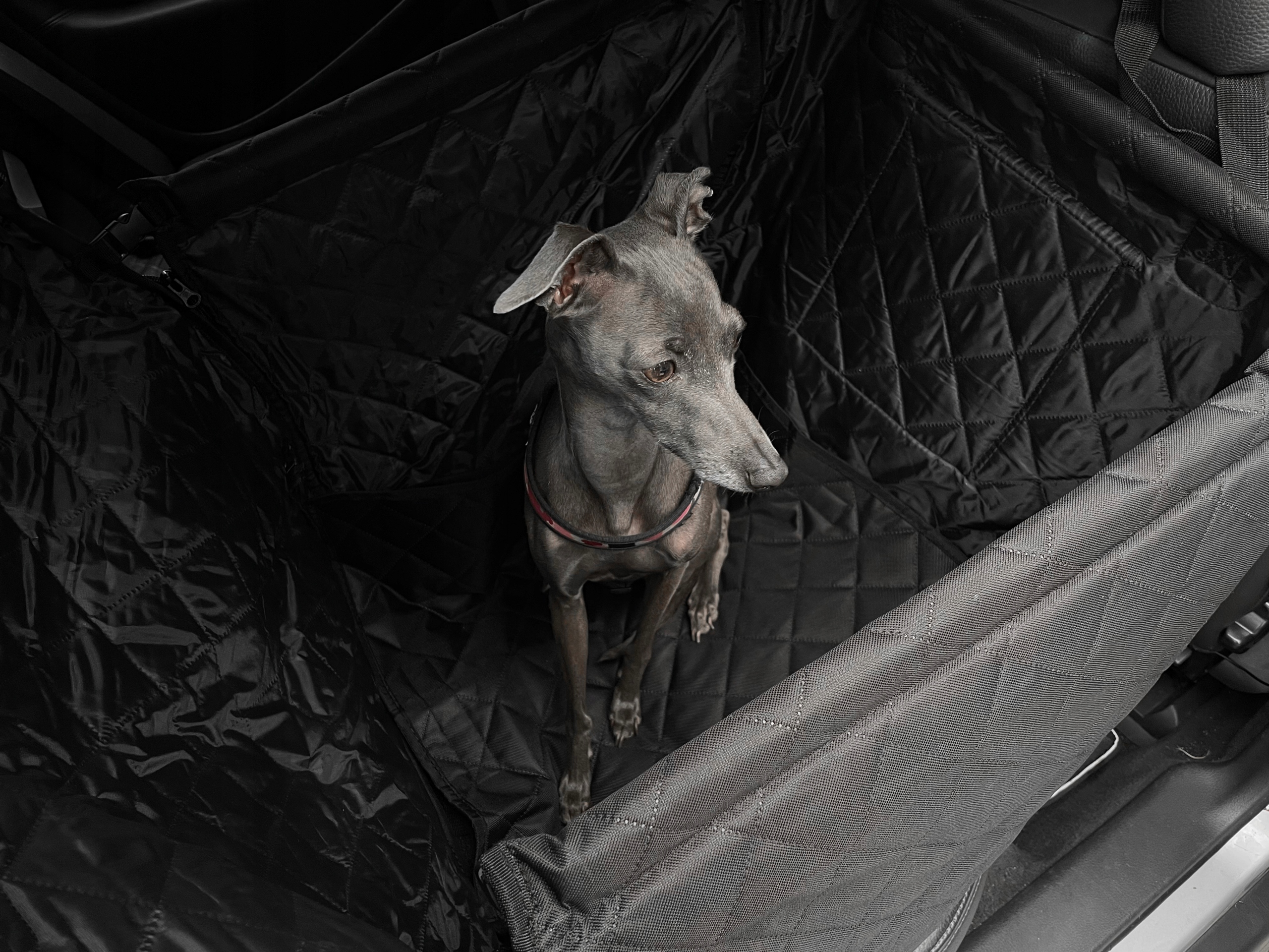 Mata Dla Psa Pokrowiec Do Samochodu Siedzenie Auto Model PJ-030