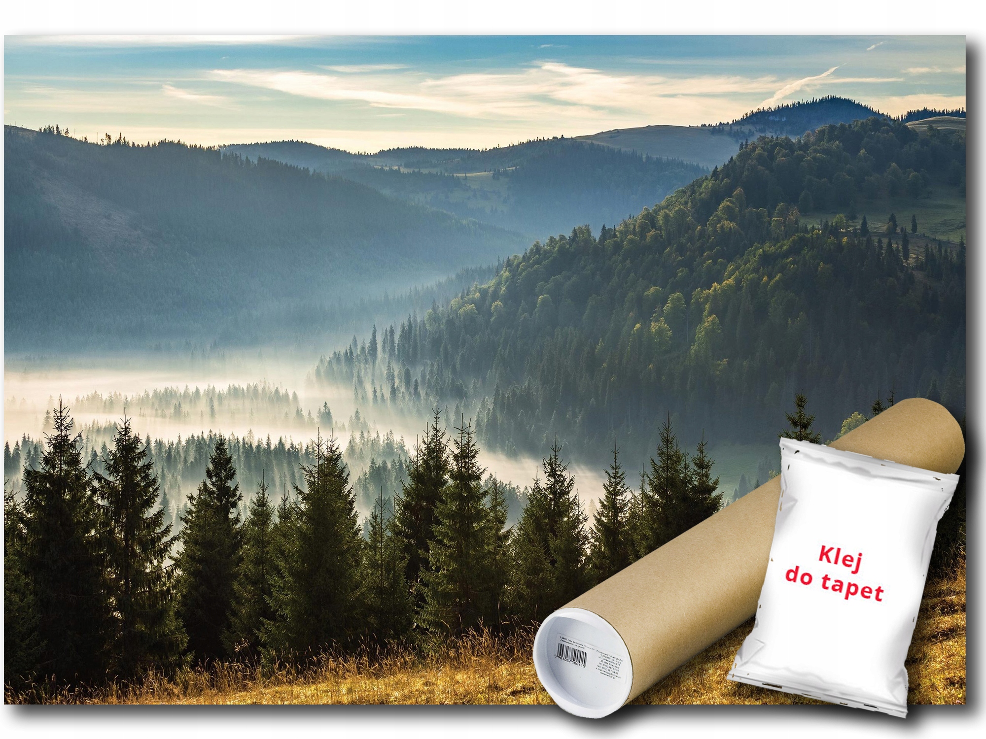Vinylová Fototapeta Hory Les Mlha Pohled 208x146