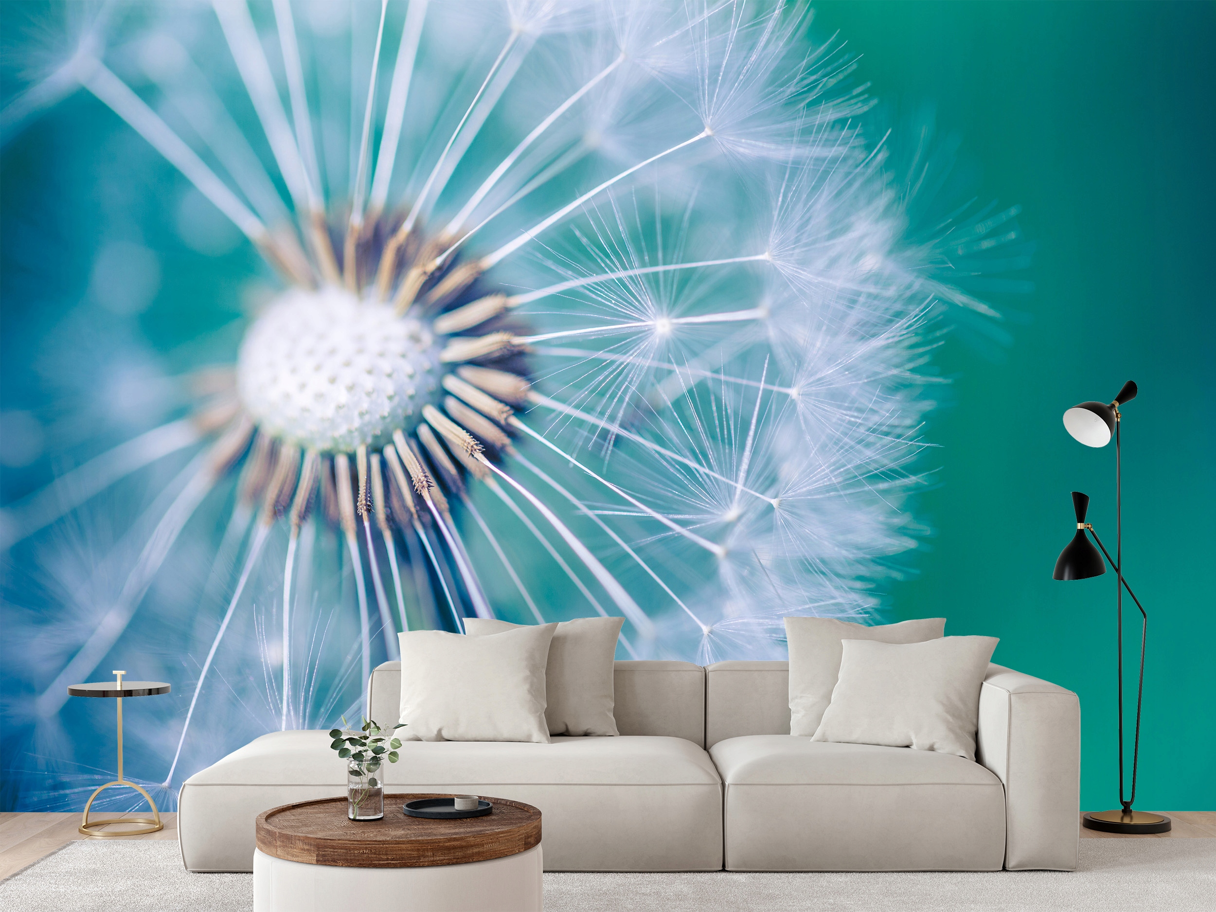 Fototapeta Krásná Příroda Pampeliška Dandelion Květina Rostlina 416 x 254 cm