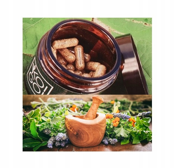 Wrotycz Piołun Bylica Goździki Oman Rdestowiec japoński Zioła Kompleks Ziół