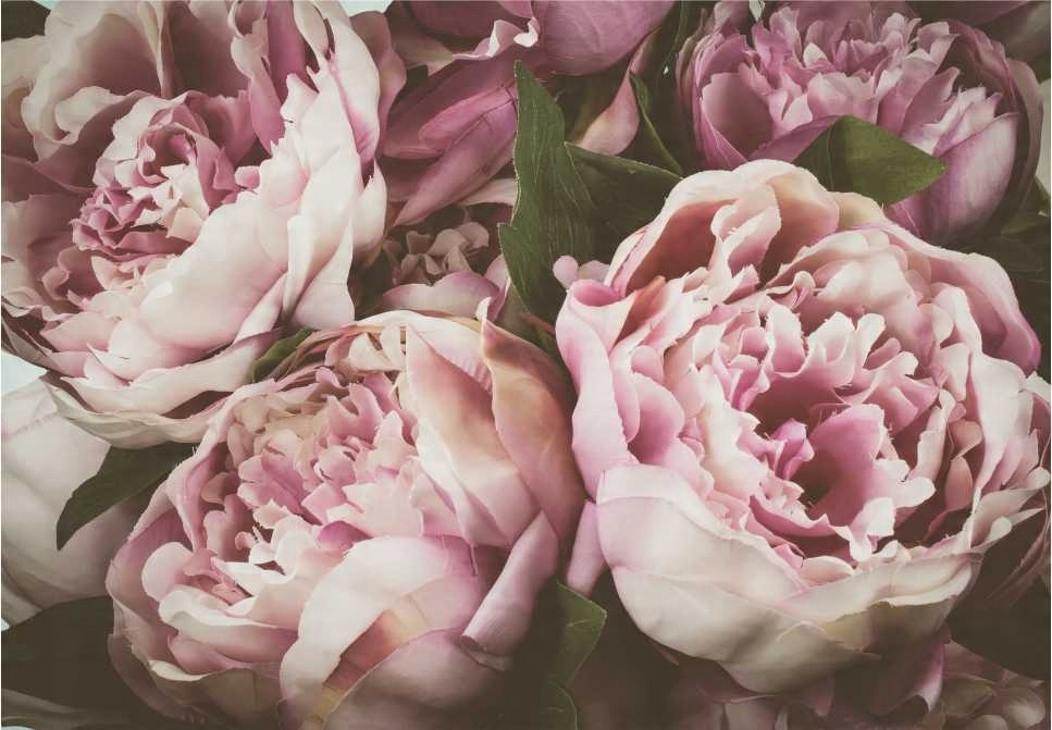

Fototapeta Peonie Kwiaty Salon Sypialnia 360x245