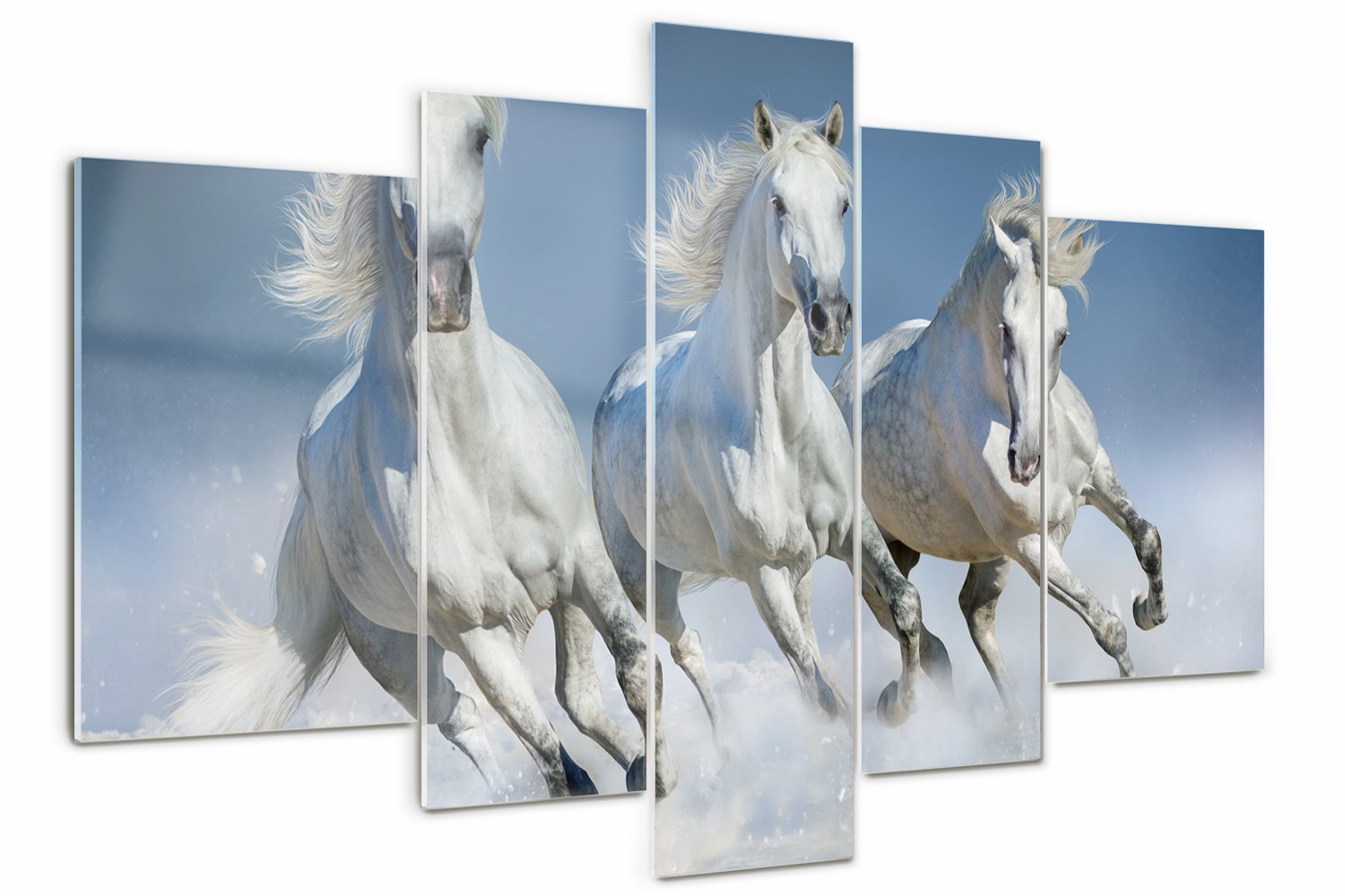 

Foto Obraz szklany duży tryptyk Konie w galopie