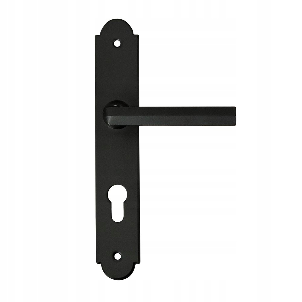 Dveřní klika Alba se štítkem na vložku 72 mm Černá