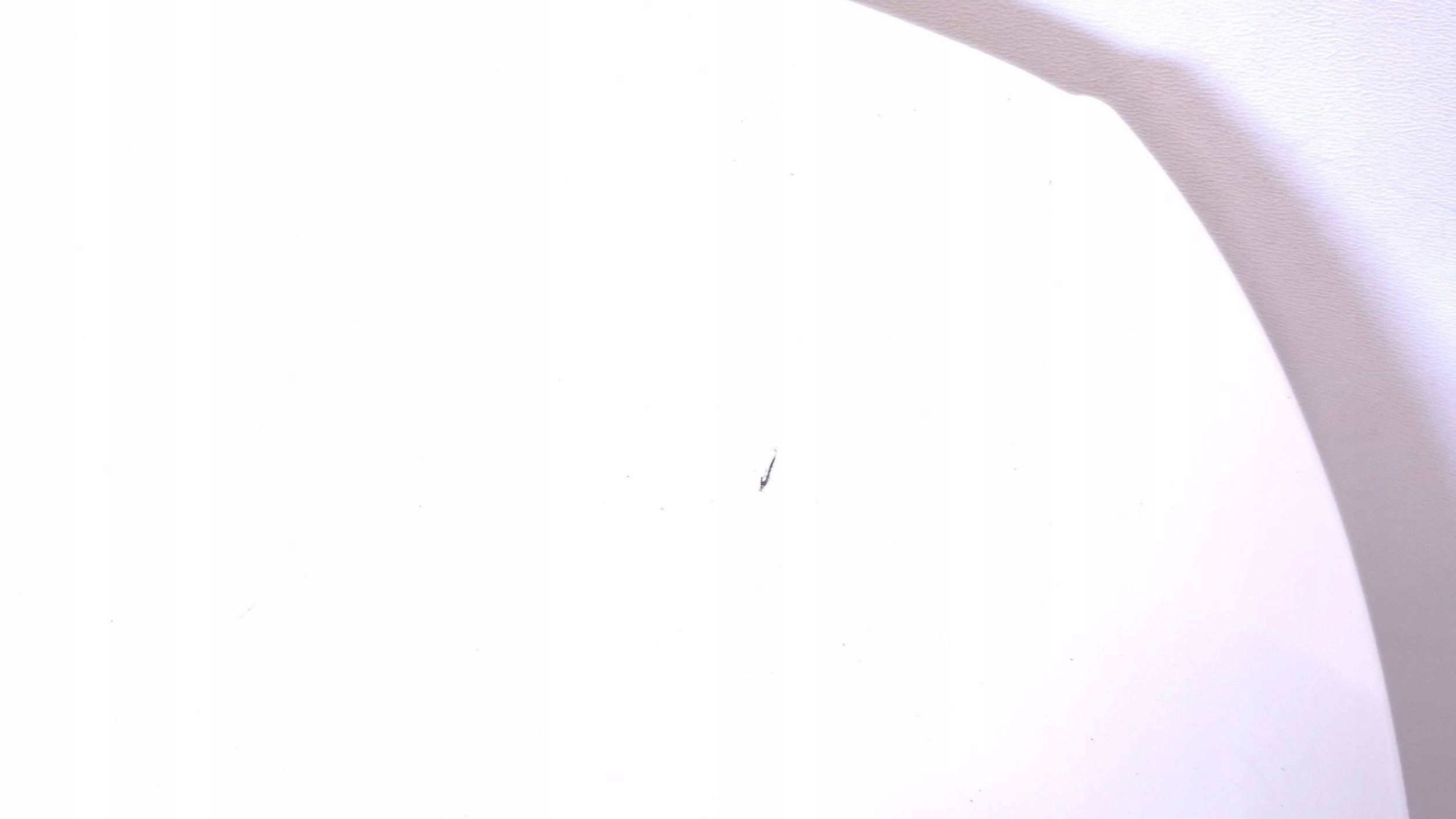 boot door rear Z window AUDI A3 8V HB LY9C S-LINE