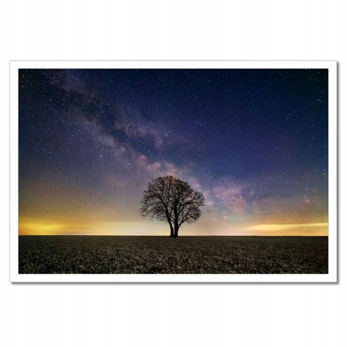 Plakáty v rámu 60x40 Osamělý strom a hvězdy