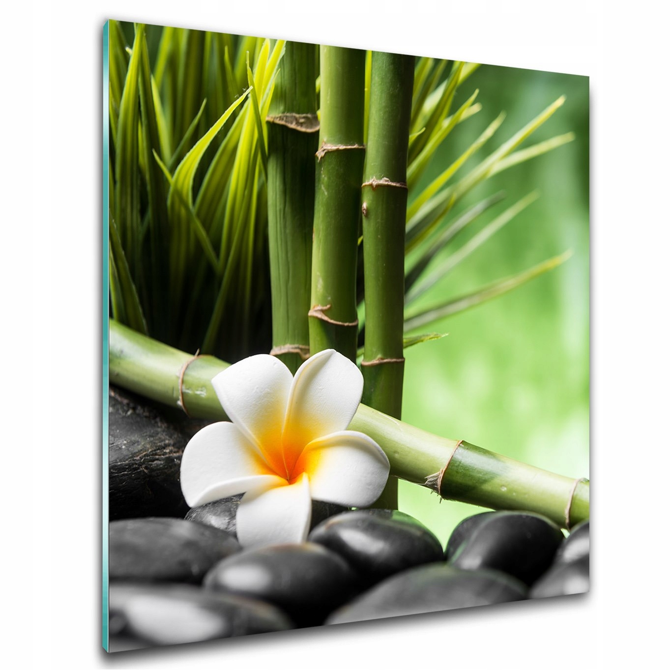 

Zdjęcie obraz szklany Frangipani Bambus 50x50
