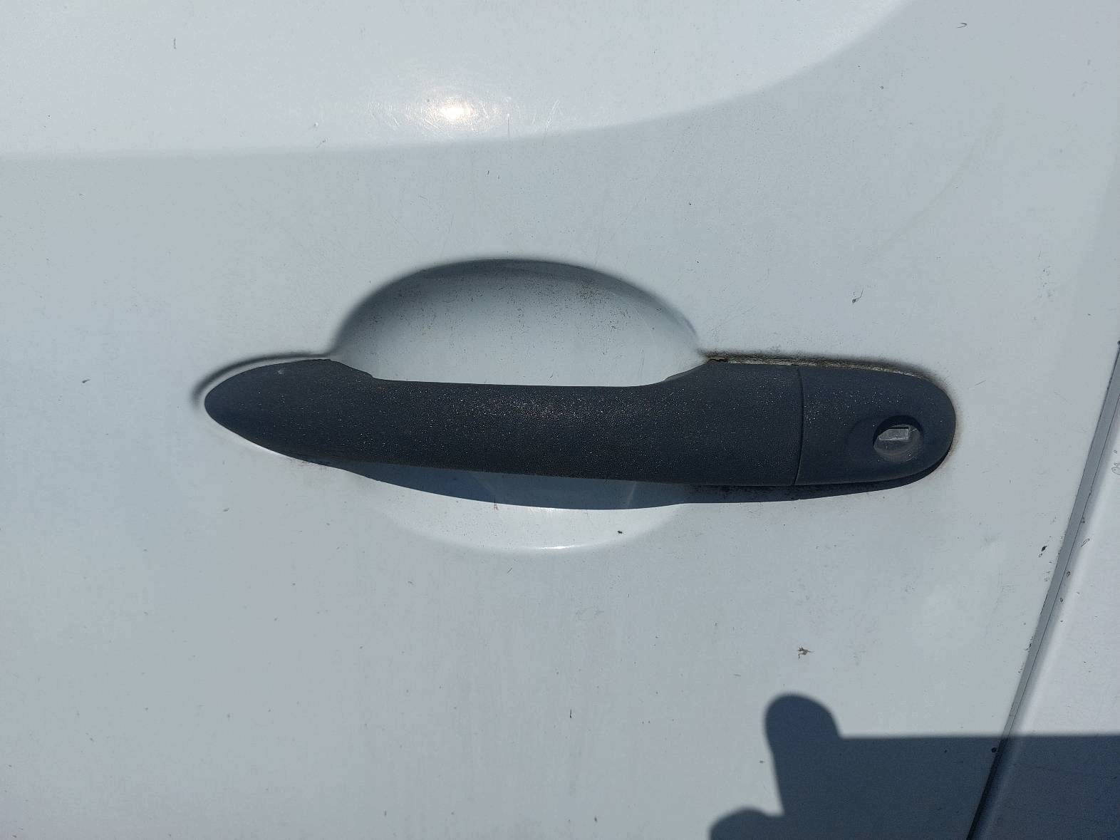 door complete left front RENAULT KANGOO II 0389