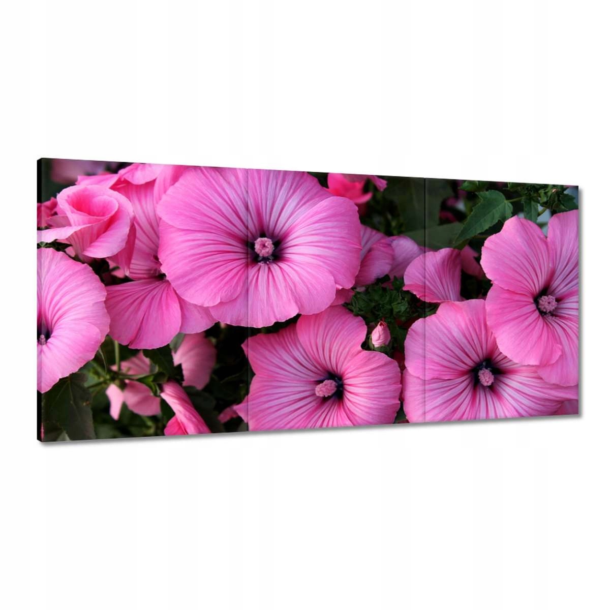 Obrazy 180x90 Fialové kvety