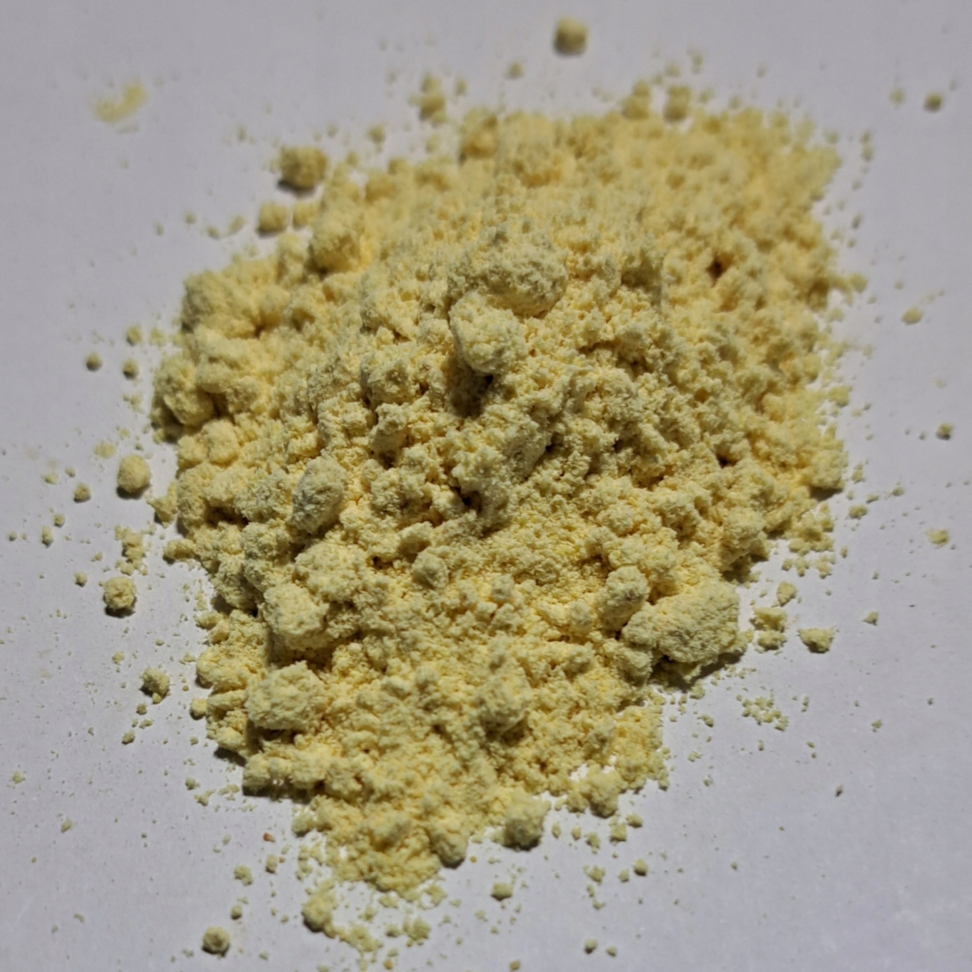 Levně Lupina Bílá Mletá semena 1 Kg Rafex